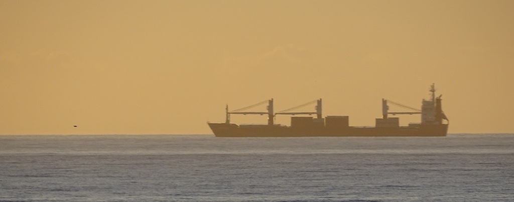 A cargo ship at sunrise off Dawlish